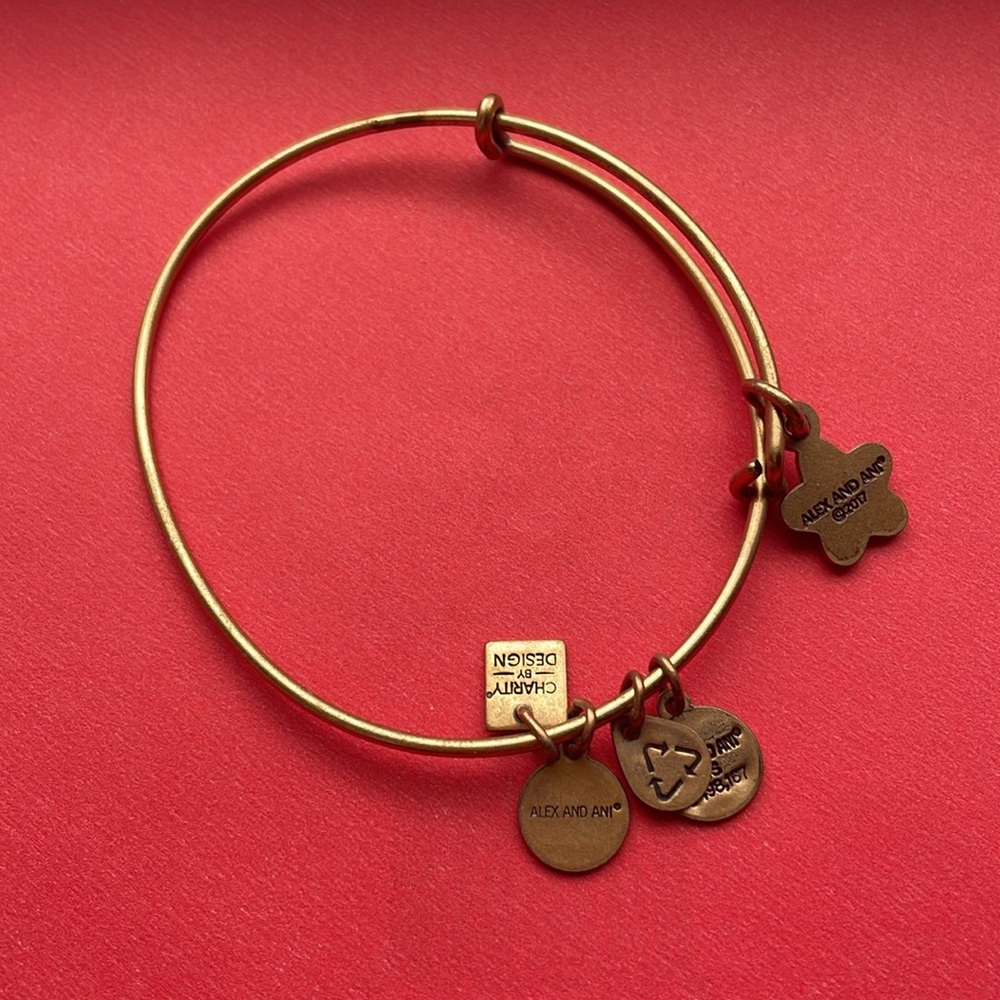 True wish charm bracelet- Alex and Ani - Picture 7 of 8